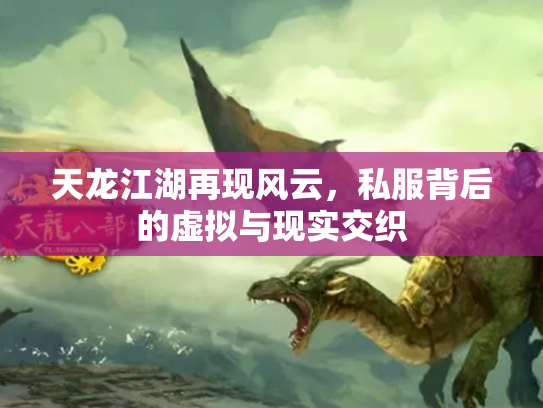 天龙江湖再现风云，私服背后的虚拟与现实交织