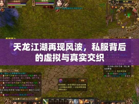 天龙江湖再现风波，私服背后的虚拟与真实交织