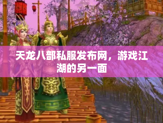 天龙八部私服发布网，游戏江湖的另一面