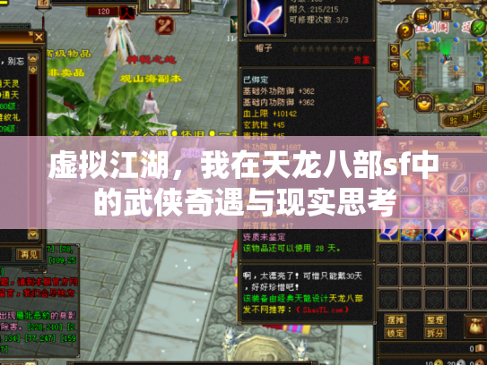 虚拟江湖，我在天龙八部sf中的武侠奇遇与现实思考