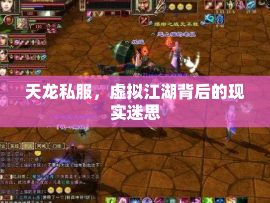 天龙私服，虚拟江湖背后的现实迷思