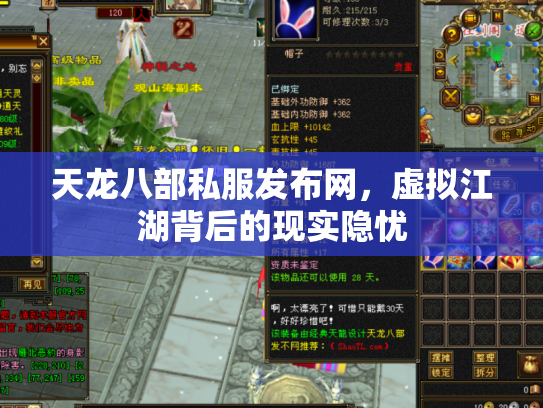 天龙八部私服发布网，虚拟江湖背后的现实隐忧
