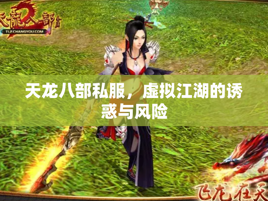 天龙八部私服，虚拟江湖的诱惑与风险