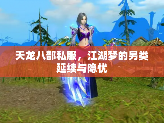 天龙八部私服，江湖梦的另类延续与隐忧
