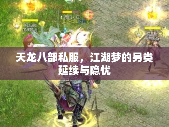 天龙八部私服，江湖梦的另类延续与隐忧