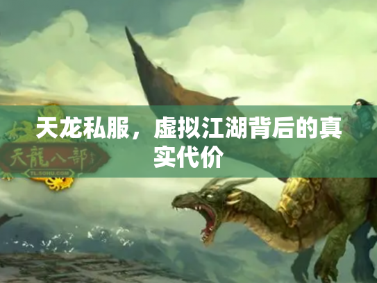 天龙私服，虚拟江湖背后的真实代价