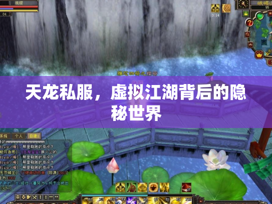 天龙私服，虚拟江湖背后的隐秘世界