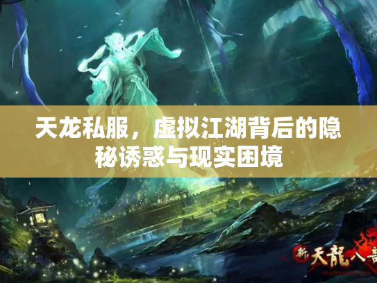 天龙私服，虚拟江湖背后的隐秘诱惑与现实困境