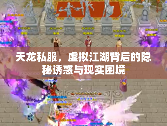 天龙私服，虚拟江湖背后的隐秘诱惑与现实困境
