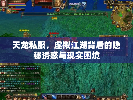 天龙私服，虚拟江湖背后的隐秘诱惑与现实困境