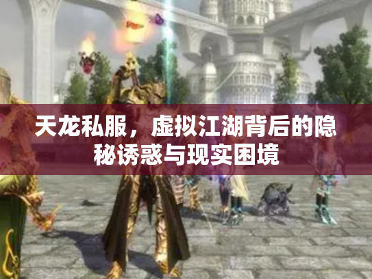 天龙私服，虚拟江湖背后的隐秘诱惑与现实困境