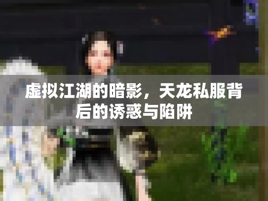 虚拟江湖的暗影，天龙私服背后的诱惑与陷阱