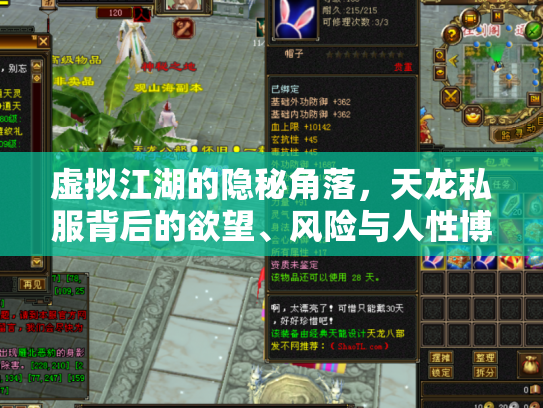 虚拟江湖的隐秘角落，天龙私服背后的欲望、风险与人性博弈