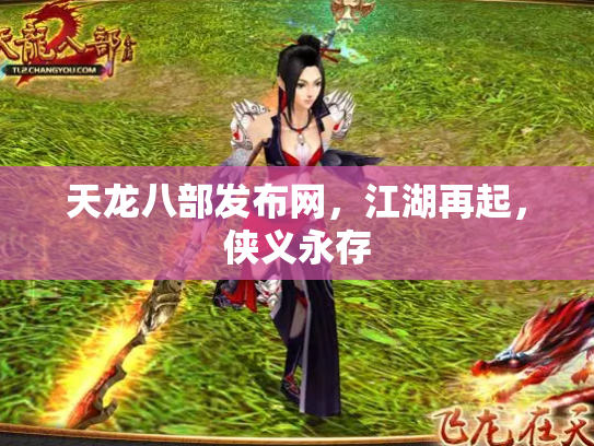 天龙八部发布网，江湖再起，侠义永存