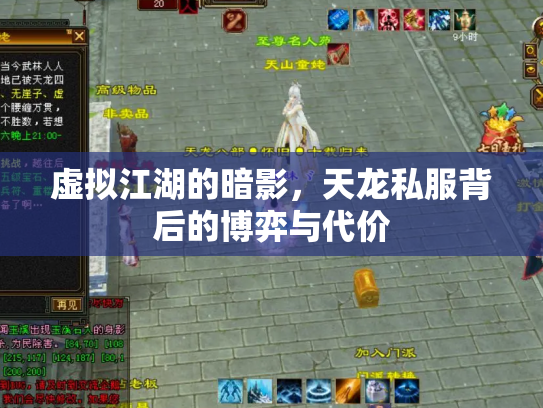 虚拟江湖的暗影，天龙私服背后的博弈与代价