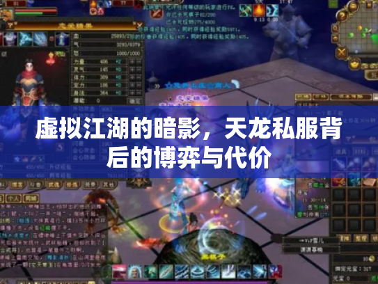 虚拟江湖的暗影，天龙私服背后的博弈与代价