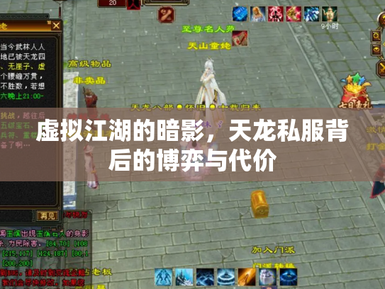 虚拟江湖的暗影，天龙私服背后的博弈与代价