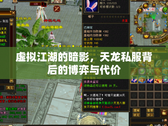 虚拟江湖的暗影，天龙私服背后的博弈与代价