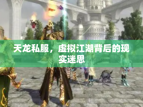 天龙私服，虚拟江湖背后的现实迷思