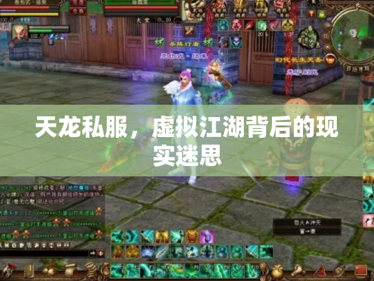 天龙私服，虚拟江湖背后的现实迷思