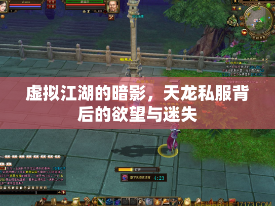 虚拟江湖的暗影，天龙私服背后的欲望与迷失