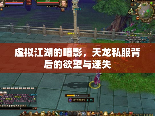 虚拟江湖的暗影，天龙私服背后的欲望与迷失