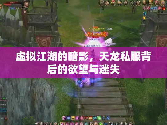 虚拟江湖的暗影，天龙私服背后的欲望与迷失