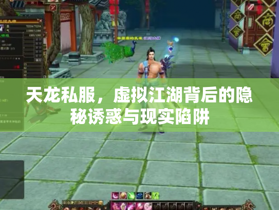 天龙私服，虚拟江湖背后的隐秘诱惑与现实陷阱