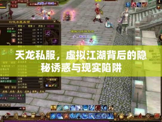 天龙私服，虚拟江湖背后的隐秘诱惑与现实陷阱