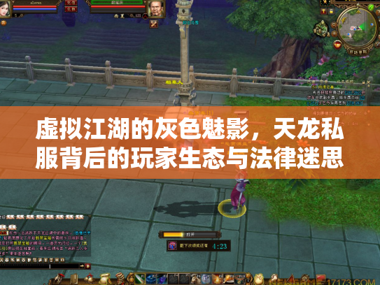 虚拟江湖的灰色魅影，天龙私服背后的玩家生态与法律迷思