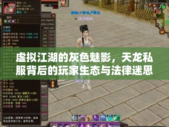 虚拟江湖的灰色魅影，天龙私服背后的玩家生态与法律迷思