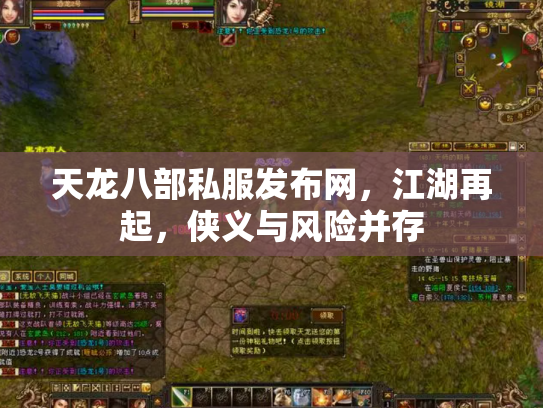 天龙八部私服发布网，江湖再起，侠义与风险并存