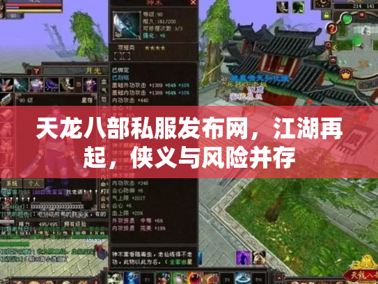 天龙八部私服发布网，江湖再起，侠义与风险并存