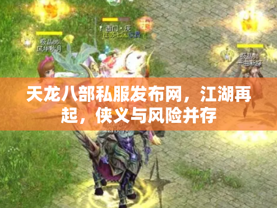 天龙八部私服发布网，江湖再起，侠义与风险并存