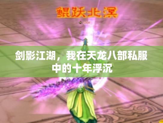 剑影江湖，我在天龙八部私服中的十年浮沉