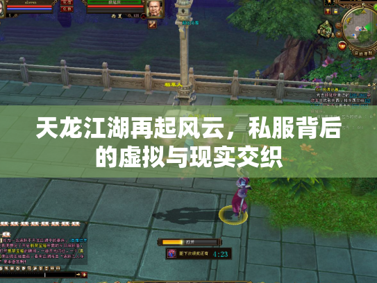 天龙江湖再起风云，私服背后的虚拟与现实交织
