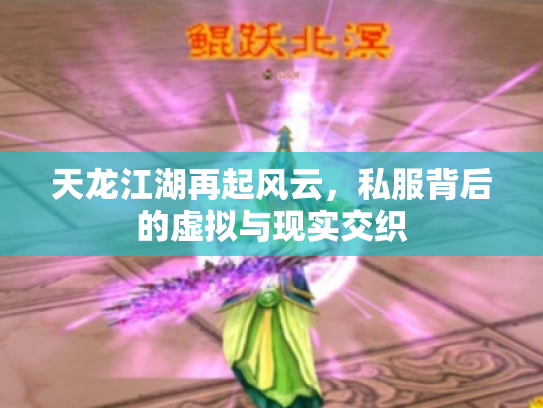 天龙江湖再起风云，私服背后的虚拟与现实交织