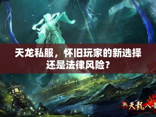 天龙私服，怀旧玩家的新选择还是法律风险？