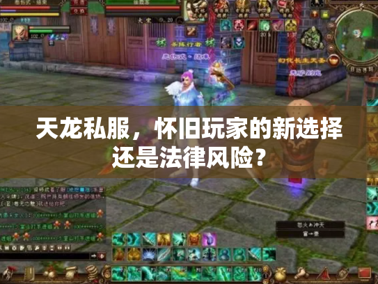 天龙私服，怀旧玩家的新选择还是法律风险？