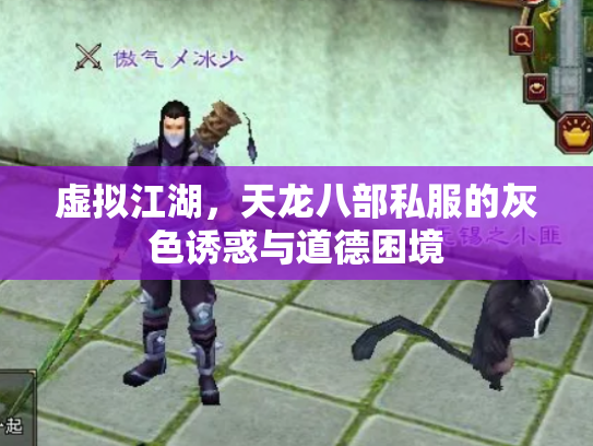 虚拟江湖，天龙八部私服的灰色诱惑与道德困境