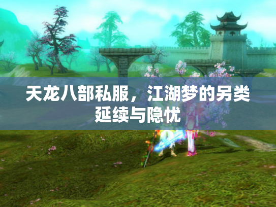 天龙八部私服，江湖梦的另类延续与隐忧