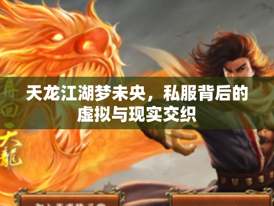 天龙江湖梦未央，私服背后的虚拟与现实交织