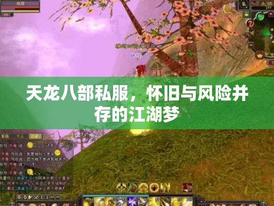 天龙八部私服，怀旧与风险并存的江湖梦