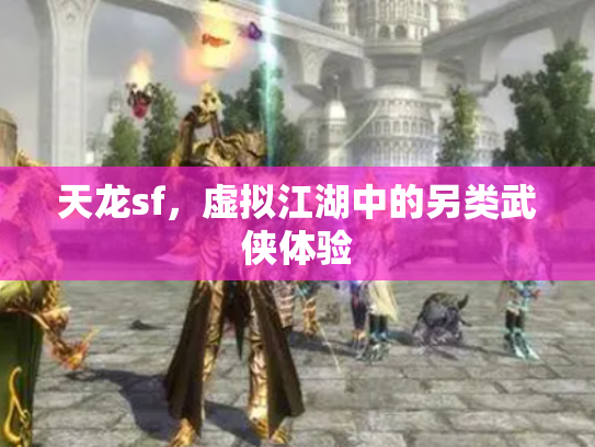 天龙sf，虚拟江湖中的另类武侠体验
