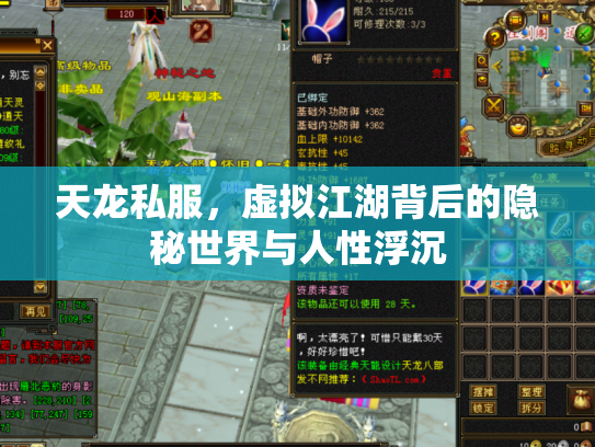 天龙私服，虚拟江湖背后的隐秘世界与人性浮沉