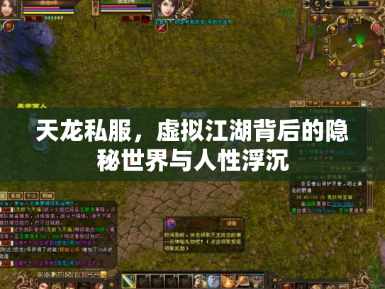 天龙私服，虚拟江湖背后的隐秘世界与人性浮沉