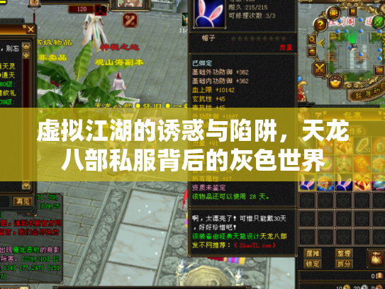 虚拟江湖的诱惑与陷阱，天龙八部私服背后的灰色世界