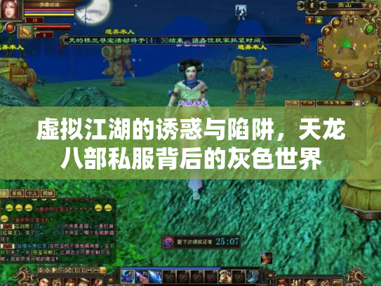 虚拟江湖的诱惑与陷阱，天龙八部私服背后的灰色世界