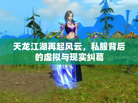 天龙江湖再起风云，私服背后的虚拟与现实纠葛