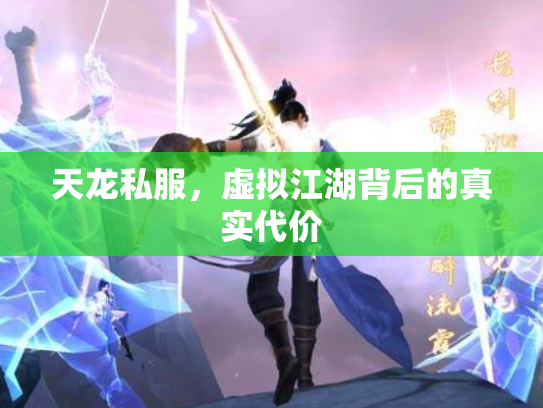天龙私服，虚拟江湖背后的真实代价